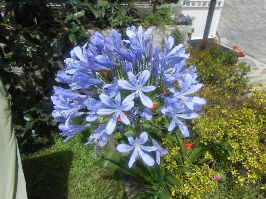 Willa Casa Colori Poggiridenti Zewnętrze zdjęcie